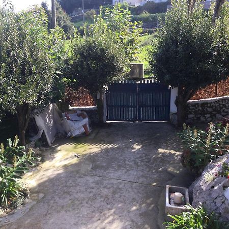 Вилла Casa Jardin Rocablanca Llanes Селорио Экстерьер фото