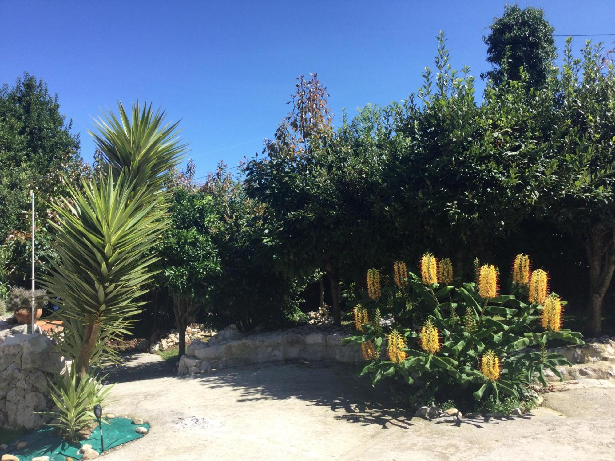 Вилла Casa Jardin Rocablanca Llanes Селорио Экстерьер фото