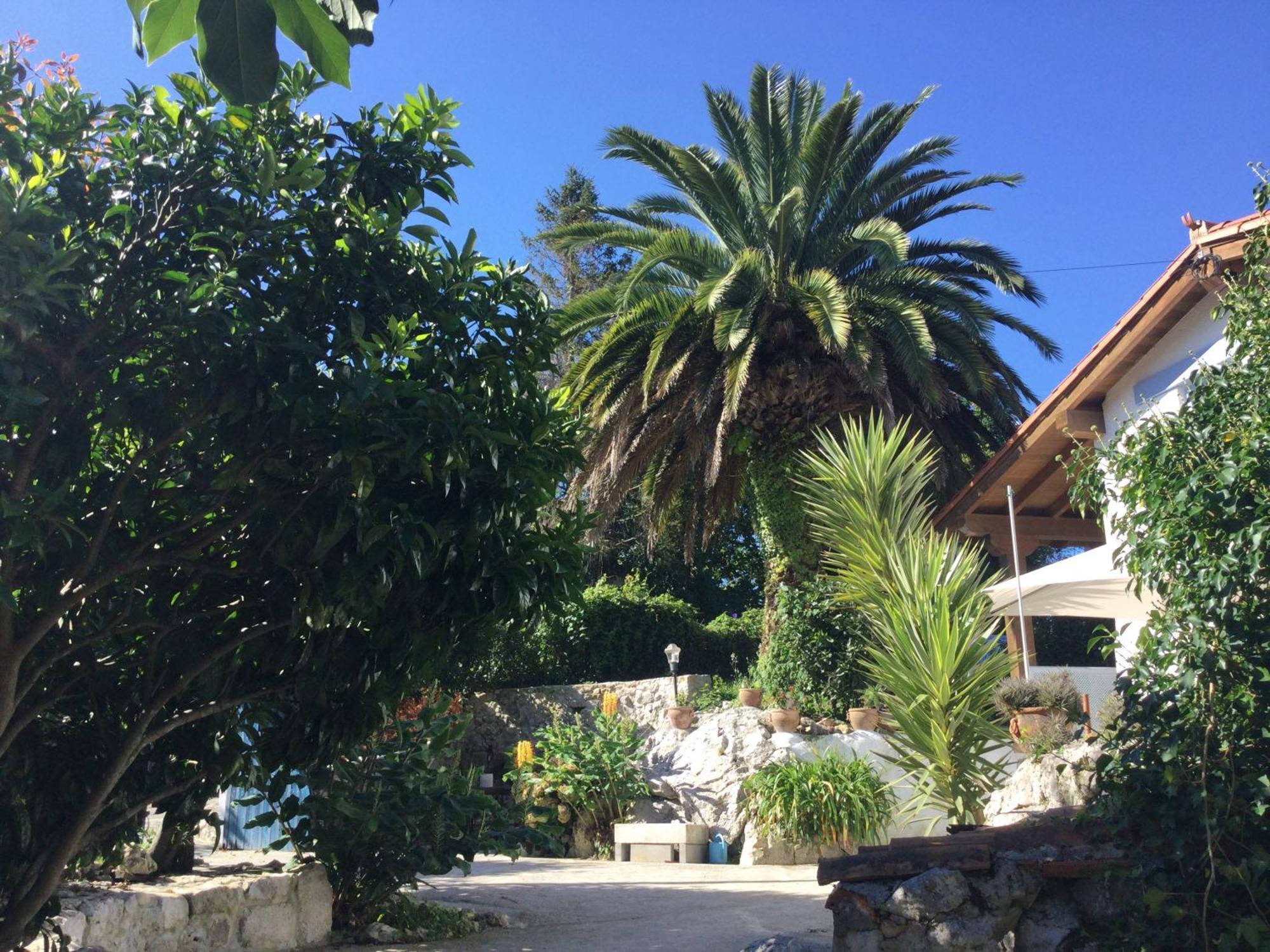 Вилла Casa Jardin Rocablanca Llanes Селорио Экстерьер фото