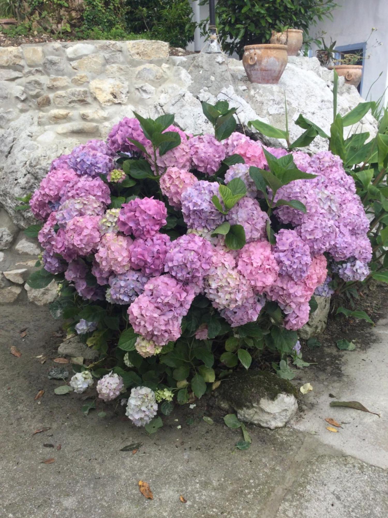 Вилла Casa Jardin Rocablanca Llanes Селорио Экстерьер фото