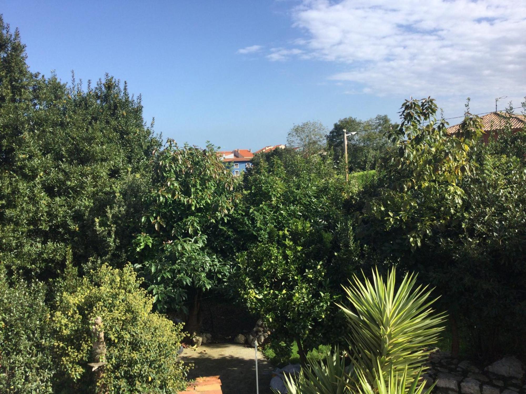 Вилла Casa Jardin Rocablanca Llanes Селорио Экстерьер фото